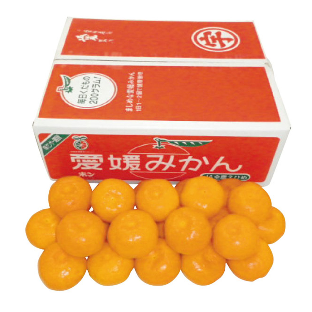 愛媛県産（JAえひめ南玉津選果場） 玉津みかん（お届け期間：11/11～12