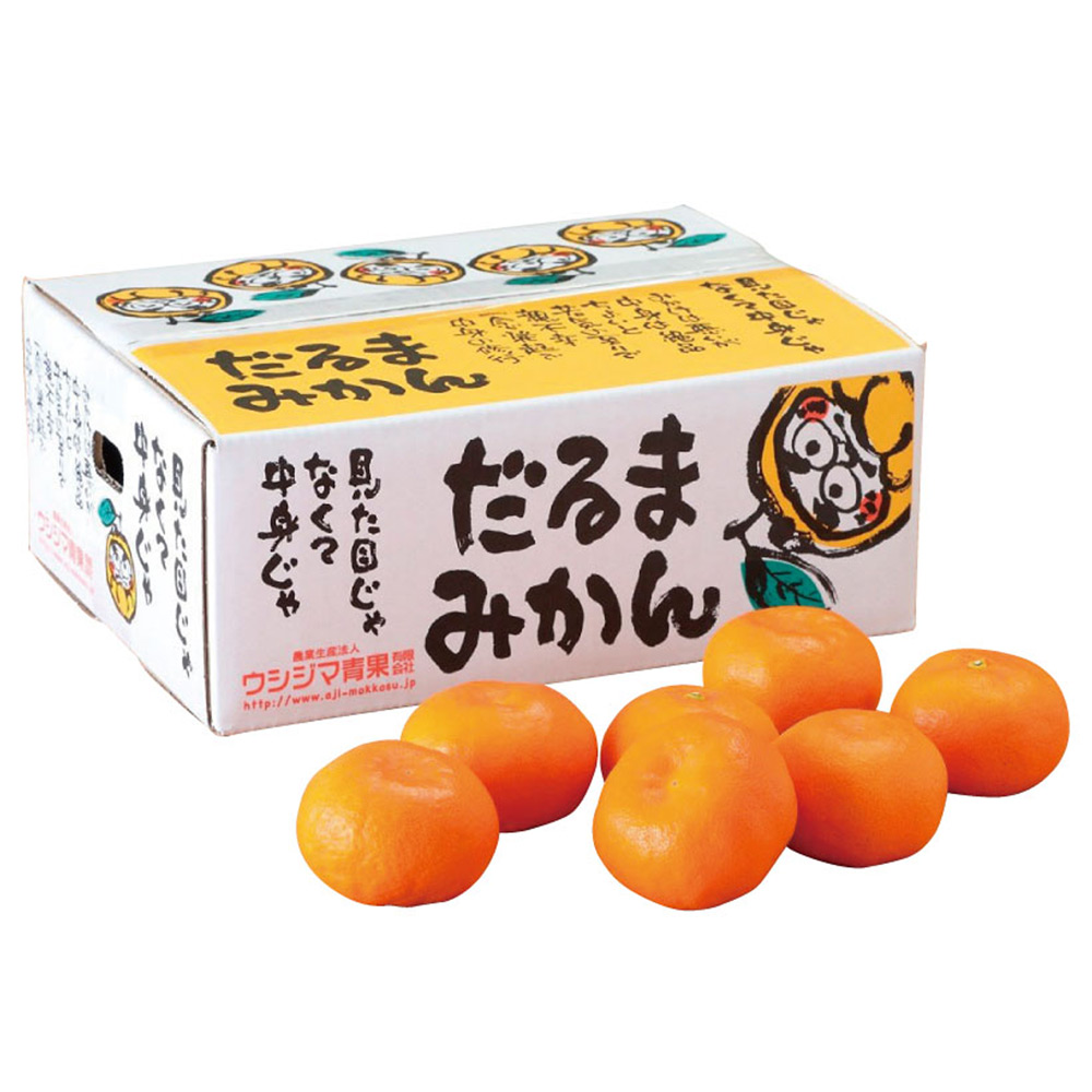 みかんです。 熊本県産 味もっこすの会 だるまみかん（温州みかん）（お届け期間：11