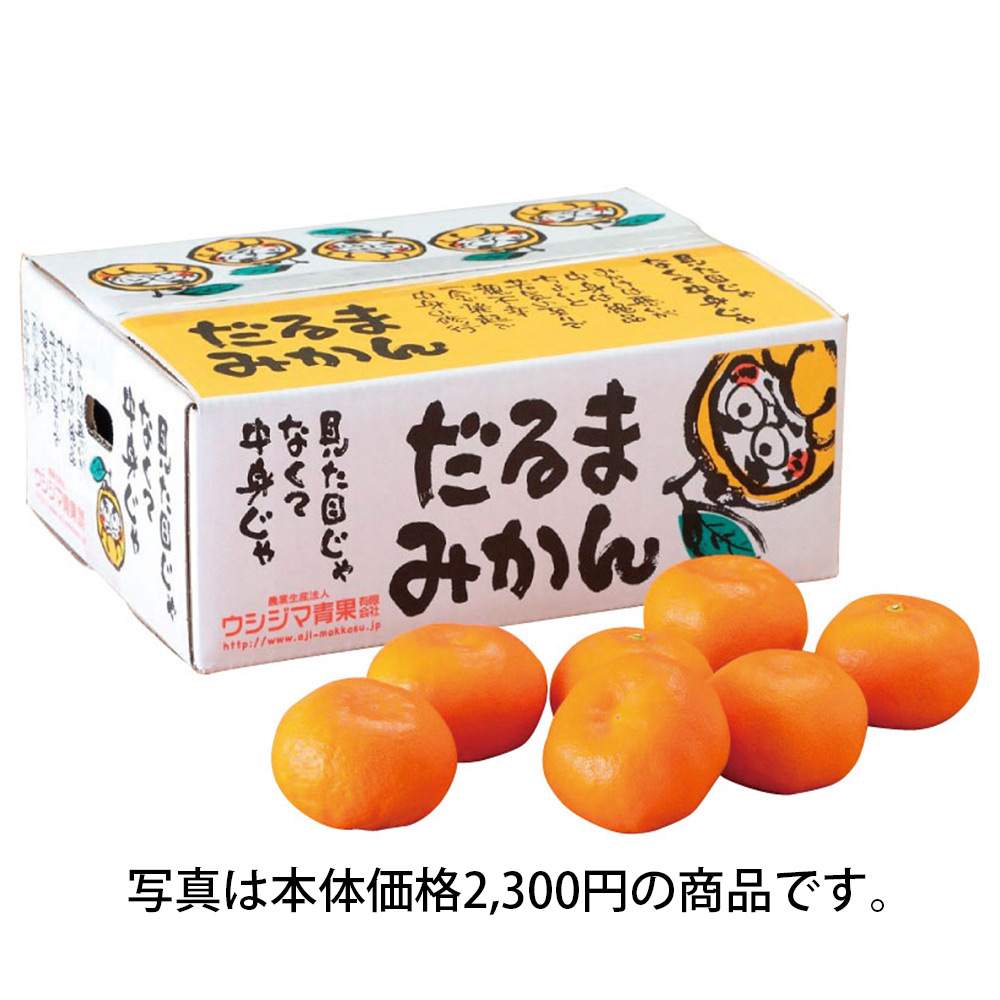 熊本県産 味もっこすの会 だるまみかん （温州みかん）（お届け期間
