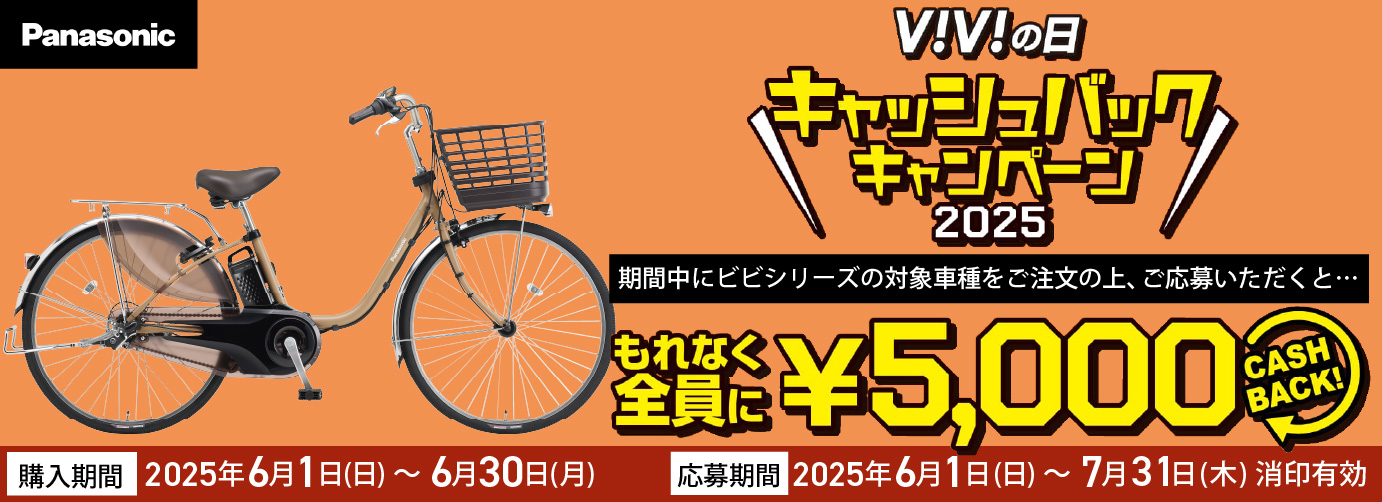 ビビの日