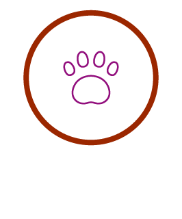 ペット用品