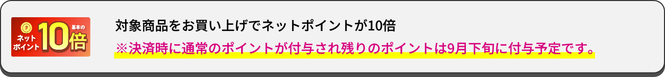 ネットポイント10倍