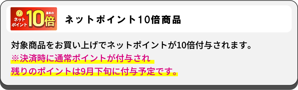 ネットポイント10倍