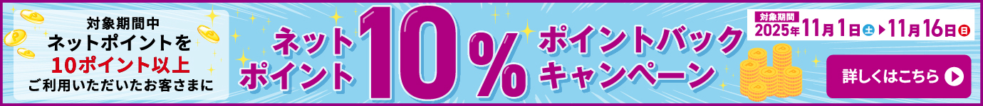 ネットポイント10倍ポイント