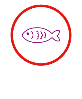 グルメ（食品）