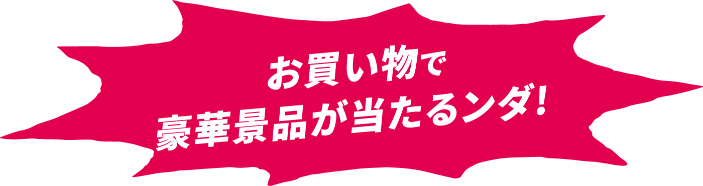 お買い物で豪華景品が当たるンダ！
