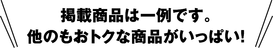 掲載商品は一例です。他のもおトクな商品がいっぱい！