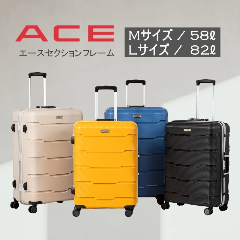 ACE セクションフレーム