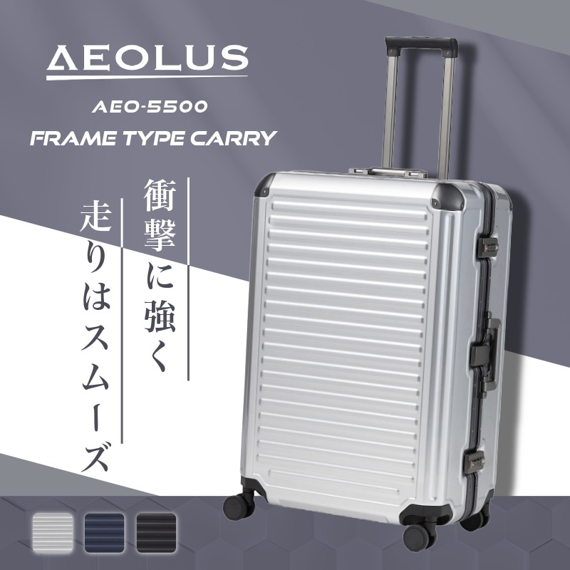 AEO-5500