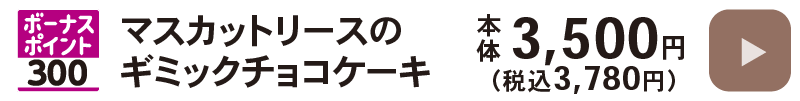 詳細を見る