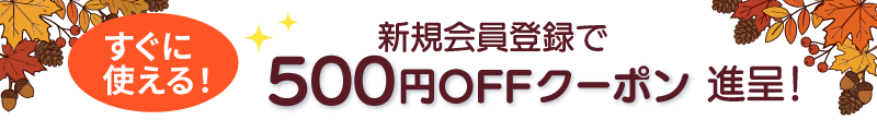 新規会員登録で 500円offクーポン 進呈！