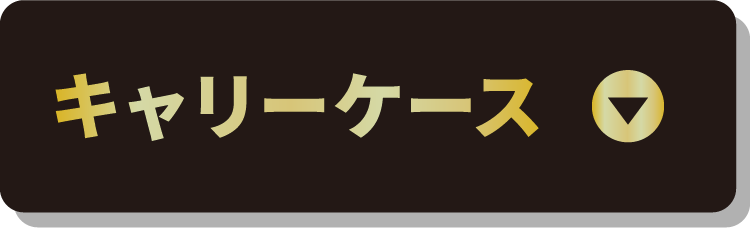 キャリーケース