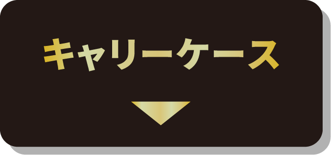 キャリーケース