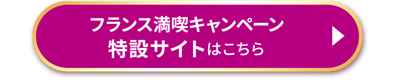 フランス満喫キャンペーン特設サイトはこちら