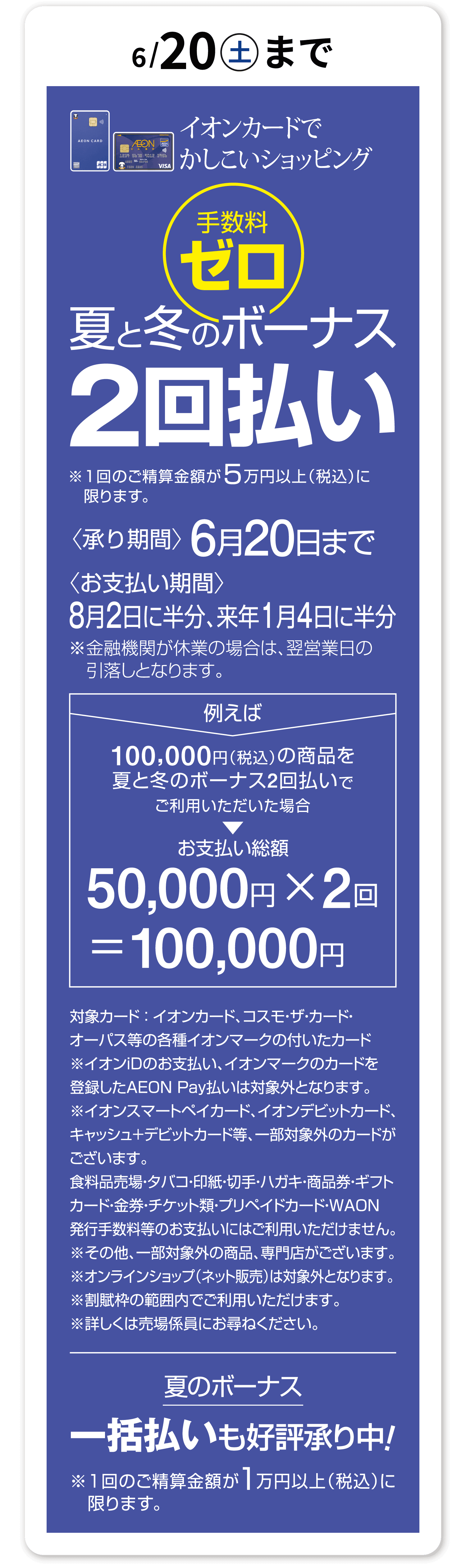 夏と冬のボーナス2回払い