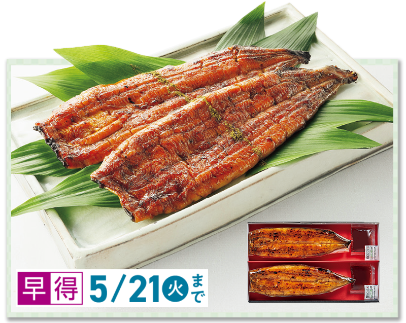 手焼き炭火仕上げうなぎ蒲焼 2尾