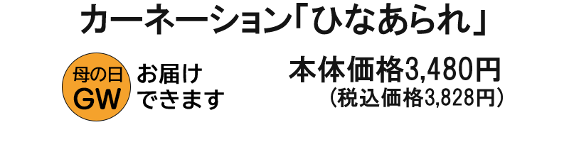 カーネーション「ひなあられ」（SUSTEE付）
