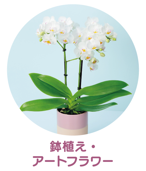 鉢植え・アートフラワー 