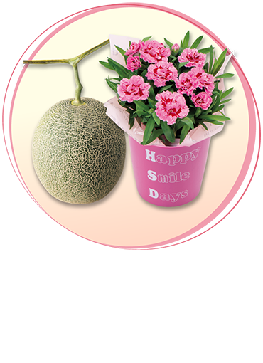 変わり咲きカーネーション＆メロン「肥後グリーン」のセット