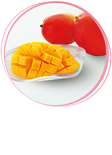 宮崎マンゴー2個化粧箱