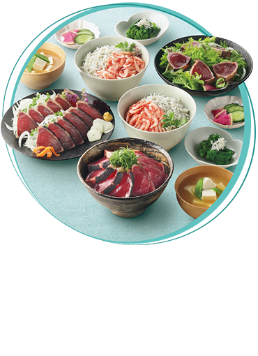 静岡県産 鰹たたき桜えびしらす詰合せ