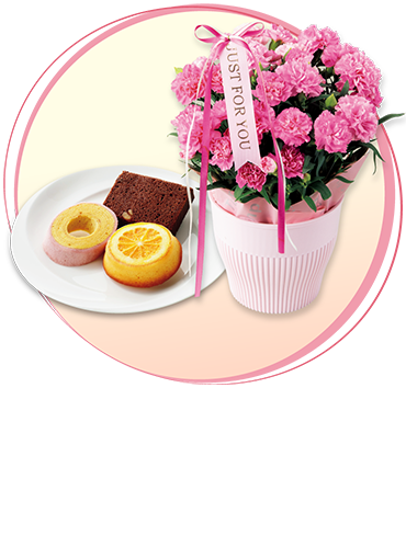 カーネーション「ホットハート＋神戸スイーツポート 母の日焼き菓子セット