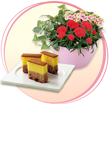 カーネーションの寄せ植え＋和泉屋 カステラ「綺麗菓」