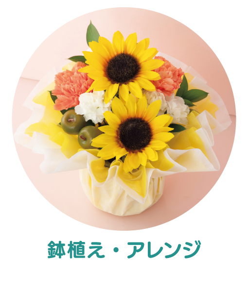 鉢植え・アレンジ