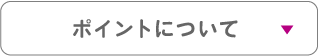 4_ポイントについて