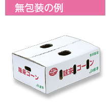 無包装の例
