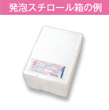 発砲スチロール箱の例