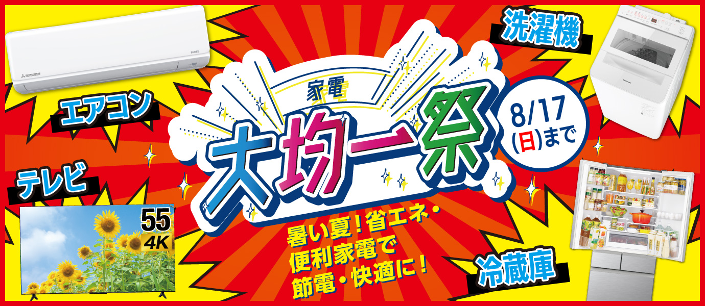 家電大均一祭
