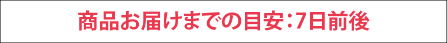 配送日目安