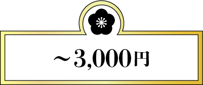 ～3,000円