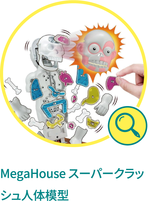MegaHouse スーパークラッシュ人体模型