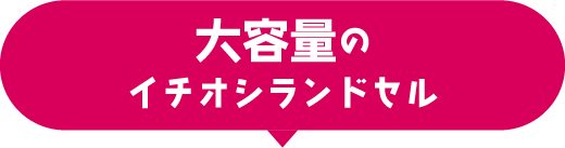 大容量のイチオシランドセル