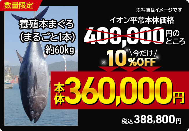 養殖本まぐろ（内臓処理済み） １本（約60kg）