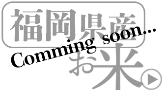 佐賀県の米