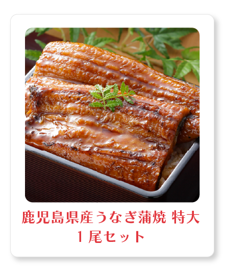 鹿児島県産うなぎ蒲焼
