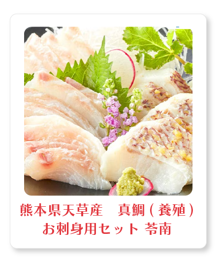 熊本県天草産　真鯛(養殖)お刺身用セット 苓南