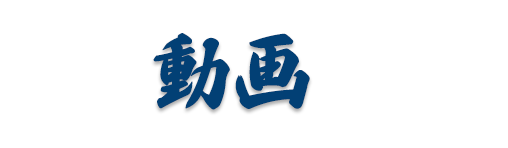 動画
