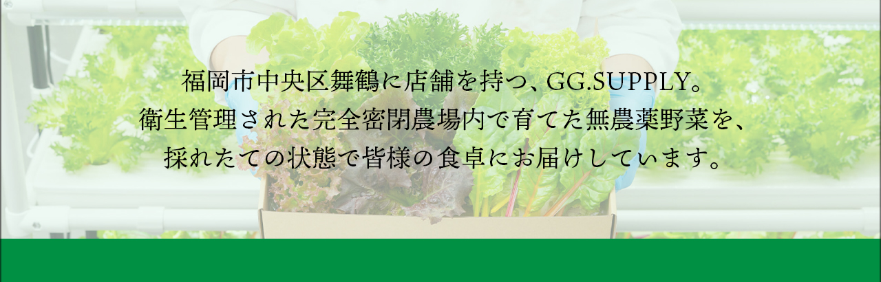 GG.SUPPLY