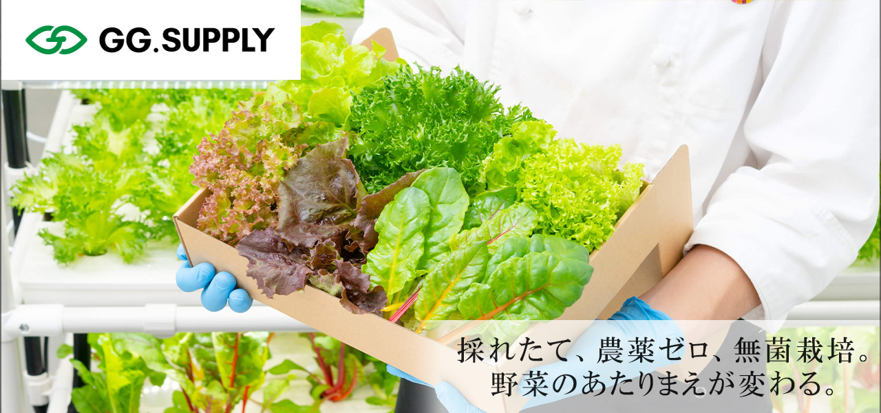 GG.SUPPLY