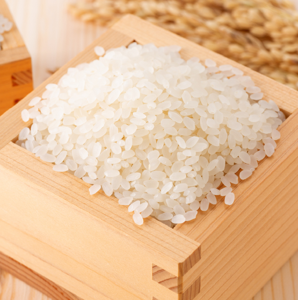 フレッシュな風味と甘味！「新米」