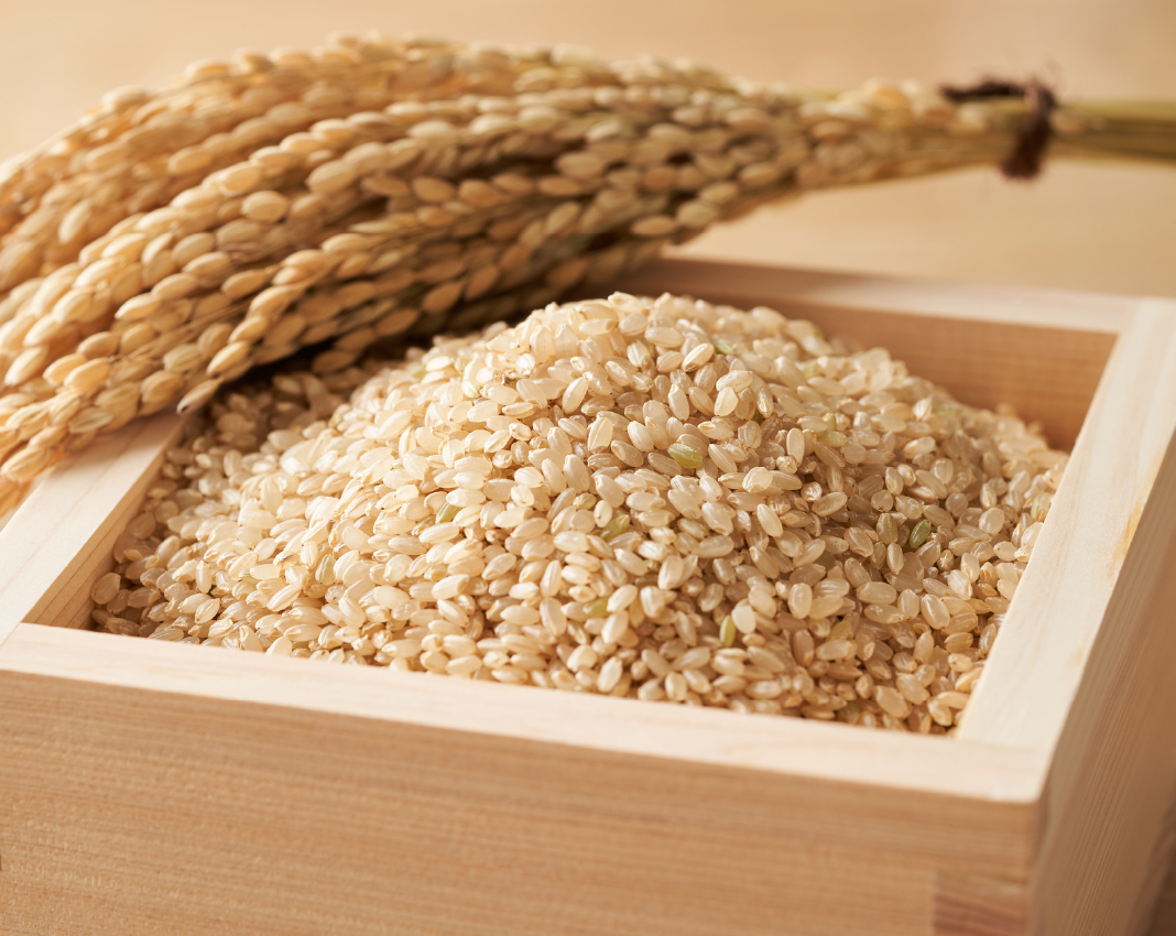 ヘルシー派の味方！「玄米」