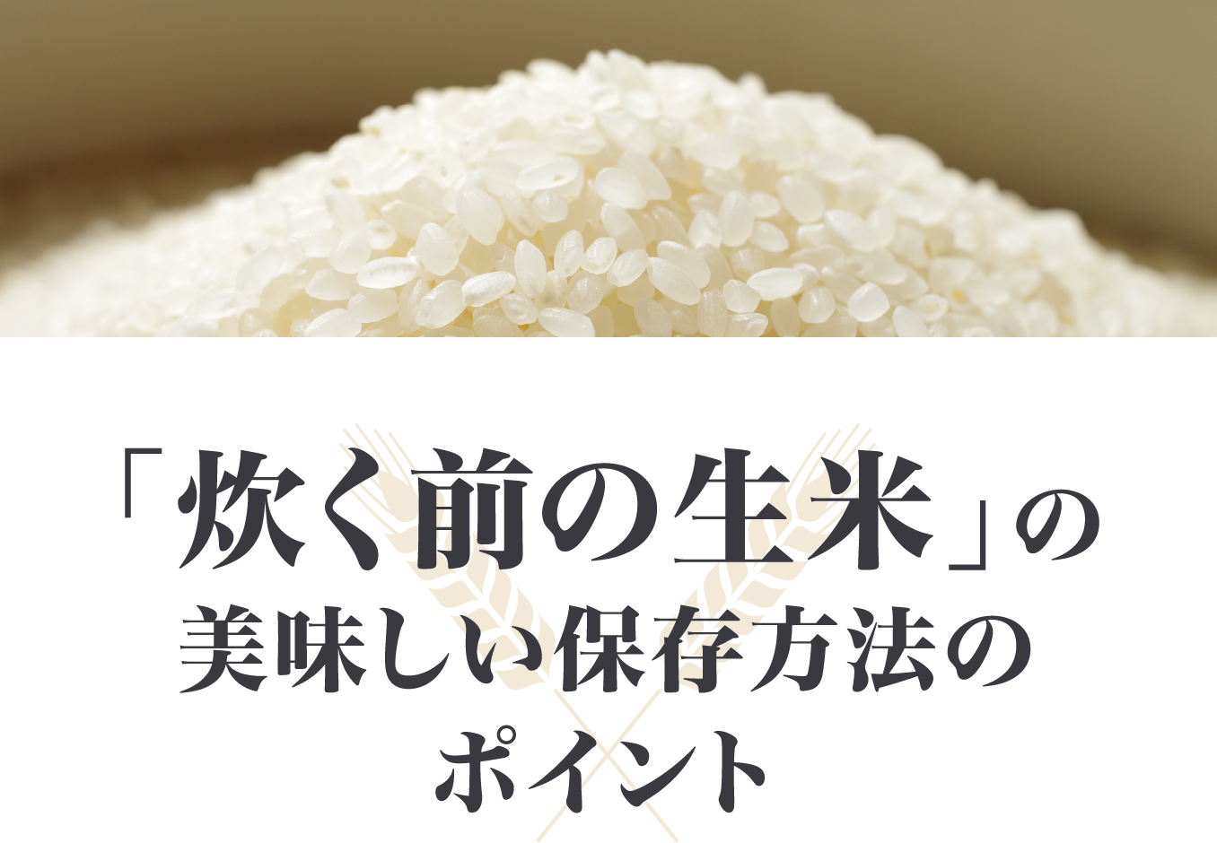 「炊く前の生米」の美味しい保存方法のポイント