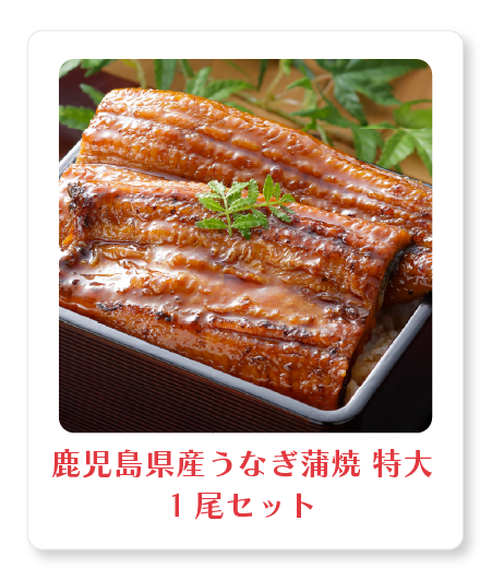 鹿児島県産うなぎ蒲焼