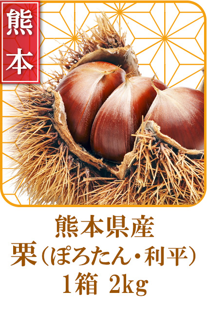熊本県産　栗