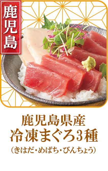 鹿児島県産　冷凍まぐろ
