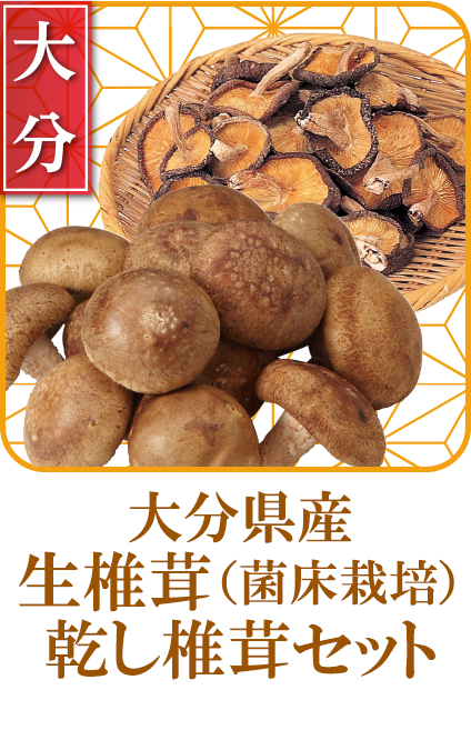 大分県産　椎茸セット